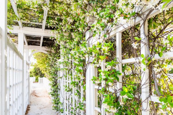 Cost of Trellis Repair in Breckenridge