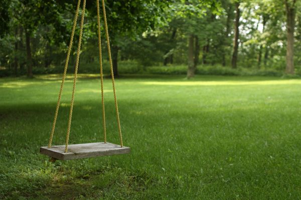 Cost of Rope Swing Installation in Breckenridge