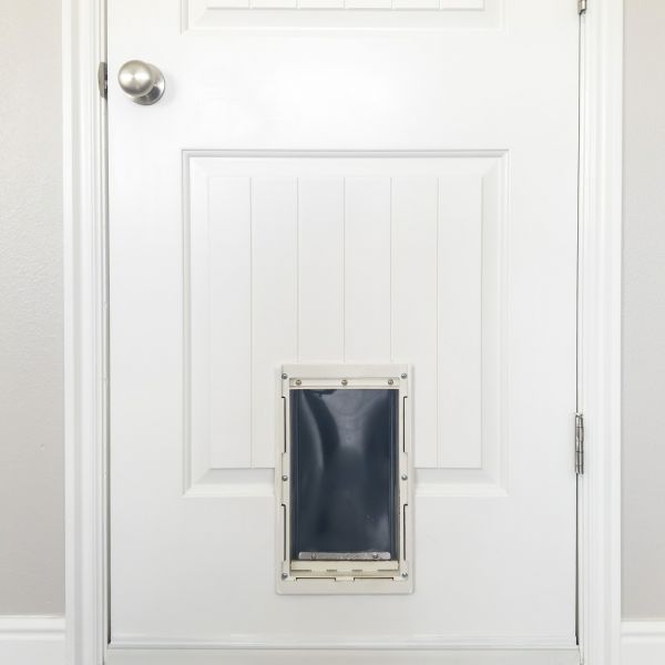 Cost of Pet Door Repair in Breckenridge
